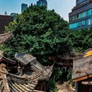 格美Chongqing Memory|自然美学·独栋庭院设计师酒店(重庆解放碑步行街洪崖洞店) - 重庆市旅游 缩略图 3