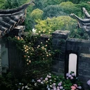 丽江慕云堂观景客栈 - 丽江市旅游 缩略图 5