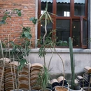 北京金隅琉璃文化创意产业园 - 北京市旅游 缩略图 5
