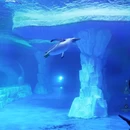 海南海洋欢乐世界游客中心 - 陵水黎族自治县旅游 缩略图 2