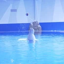 海南海洋欢乐世界游客中心 - 陵水黎族自治县旅游 缩略图 1