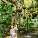 青秀山风景区 - 南宁市旅游 缩略图 1