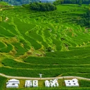 云和梯田景区 - 丽水市旅游 缩略图 4