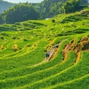 云和梯田景区 - 丽水市旅游 缩略图 5