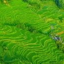 云和梯田景区 - 丽水市旅游 缩略图 6