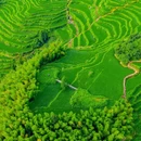 云和梯田景区 - 丽水市旅游 缩略图 9