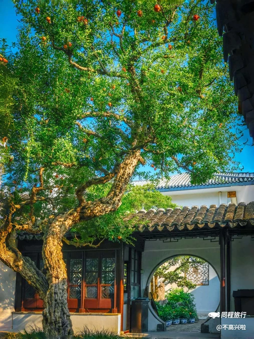 怡园 - 苏州市旅游