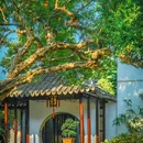 怡园 - 苏州市旅游 缩略图 7