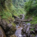 宜春市明月山国家级风景名胜区 - 宜春市旅游 缩略图 2