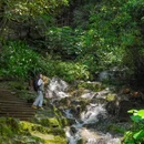 蒲谷 - 广州市旅游 缩略图 1