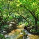 蒲谷 - 广州市旅游 缩略图 4