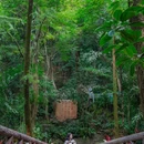 蒲谷 - 广州市旅游 缩略图 7