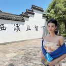 西湖游船-花港码头 - 杭州旅游 缩略图 5