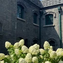 沈阳中街x酒店(中街故宫大悦城店) - 沈阳市旅游 缩略图 3