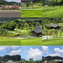 古香林旅游区 - 中山市旅游 缩略图 1