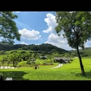 古香林旅游区 - 中山市旅游 缩略图 7