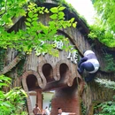 天目湖南山竹海景区 - 常州市旅游 缩略图 4