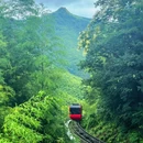 天目湖南山竹海景区 - 常州市旅游 缩略图 5