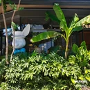 良渚文化村 - 杭州市旅游 缩略图 6