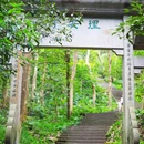 杭州旅游 缩略图 7