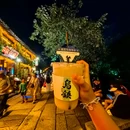 乌镇西栅景区 - 嘉兴市旅游 缩略图 6