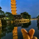 乌镇西栅景区 - 嘉兴市旅游 缩略图 8