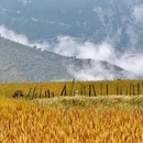 梅里雪山观景台 - 迪庆藏族自治州旅游 缩略图 4