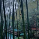 金华万达广场融景湾酒店(古子城夜市步行街店) - 金华市旅游 缩略图 1