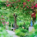 紫南文化旅游区 - 佛山市旅游 缩略图 4