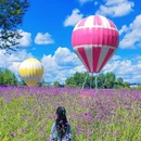 辽源市动植物园 - 辽源旅游 缩略图 4