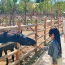辽源市动植物园 - 辽源旅游 缩略图 7