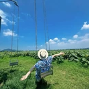 三屯稻田小镇 - 洛阳市旅游 缩略图 1