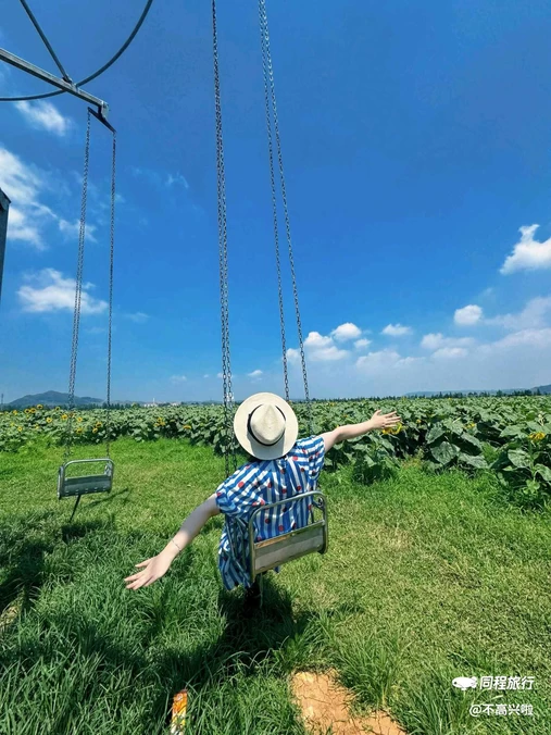 三屯稻田小镇 - 洛阳市旅游