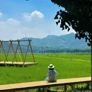 三屯稻田小镇 - 洛阳市旅游 缩略图 2