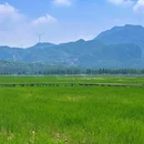三屯稻田小镇 - 洛阳市旅游 缩略图 6