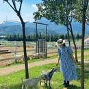 三屯稻田小镇 - 洛阳市旅游 缩略图 8