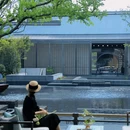 合欢街 - 郑州市旅游 缩略图 9