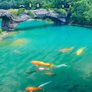 金台寺 - 珠海市旅游 缩略图 7