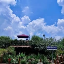 南昆山翠兰谷生态度假村 - 惠州旅游 缩略图 6