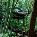 上海佘山国家森林公园 - 上海市旅游 缩略图 5