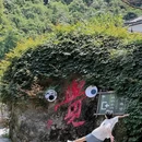 大觉山风景区 - 抚州市旅游 缩略图 5