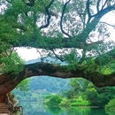 察关村 - 上饶市旅游 缩略图 2
