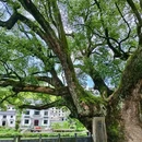 察关村 - 上饶市旅游 缩略图 3