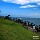 小麦岛 - 青岛市旅游 缩略图 4