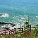 小麦岛 - 青岛市旅游 缩略图 1