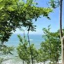 小麦岛 - 青岛市旅游 缩略图 6