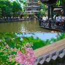 余荫山房 - 广州市旅游 缩略图 2
