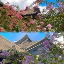 余荫山房 - 广州市旅游 缩略图 8