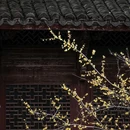 婺城区逸境·宋酒店(古子城步行街店) - 金华市旅游 缩略图 3