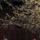 婺城区逸境·宋酒店(古子城步行街店) - 金华市旅游 缩略图 4